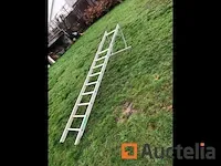 Mirguet ladder - afbeelding 4 van  4