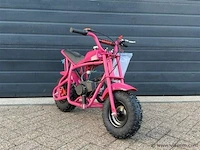 Mmx 49cc mini pitbike met dikke banden (roze) - afbeelding 1 van  4