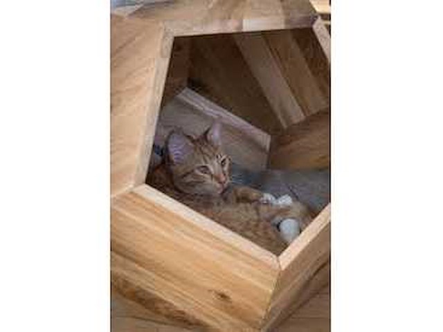 Modern natuurlijk houten dierenhuis of plantenbak h48cm - afbeelding 3 van  3