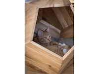 Modern natuurlijk houten dierenhuis of plantenbak h48cm - afbeelding 3 van  3