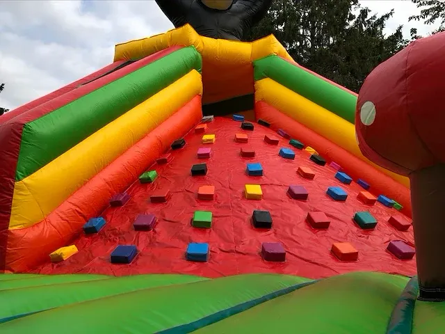 Monkey climb - afbeelding 2 van  5