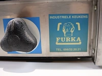 Morice salamander op gas - afbeelding 2 van  6