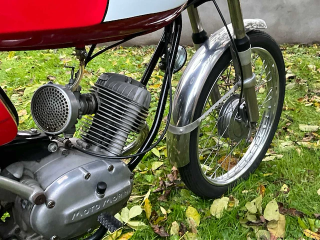 Moto-morino zeta zeta - 1971 - afbeelding 25 van  41
