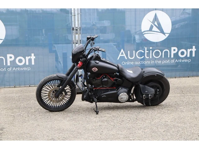 Motor harley-davidson deuce fxstd softail benzine 2022 (marge) - afbeelding 1 van  1