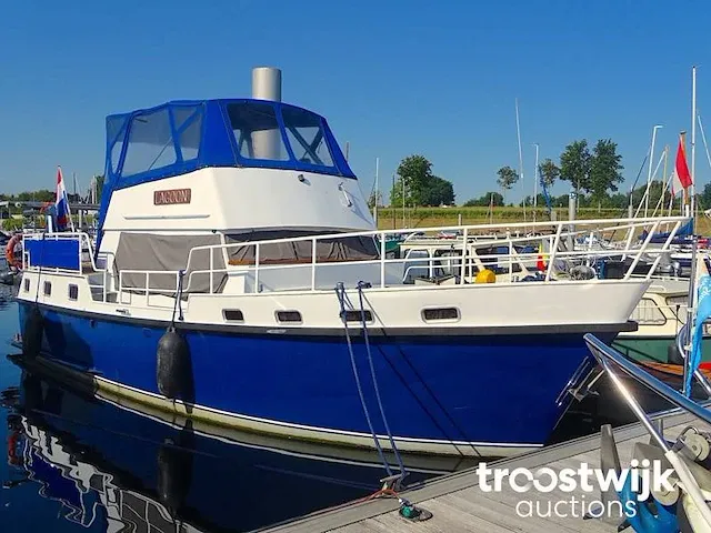 Motorboot molenkruiser lagoon - afbeelding 13 van  100