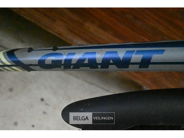 Mountainbike giant - afbeelding 3 van  3