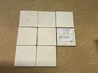 Mozaïek tegel keramisch 25 m² - afbeelding 1 van  3