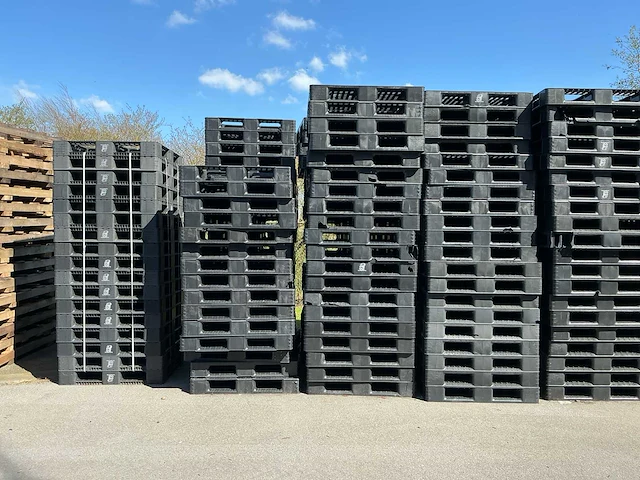 Mpc l-3 jumbo pallet (110x) - afbeelding 2 van  7