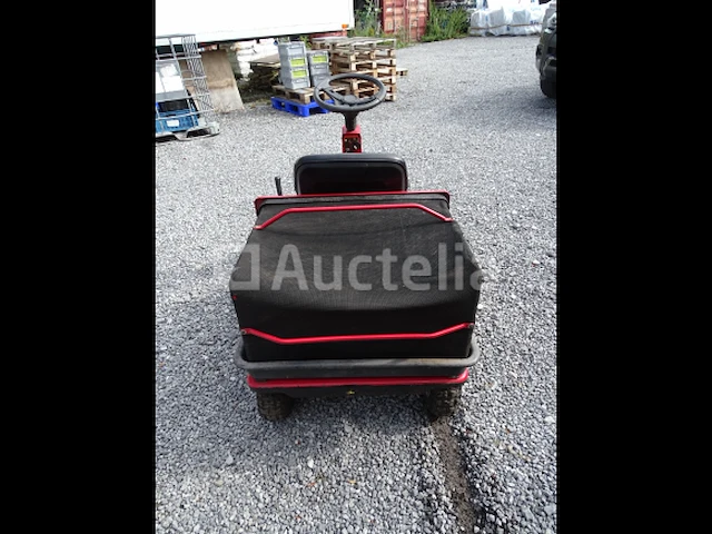 Mtd pinto zitmaaier - afbeelding 5 van  15