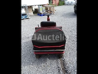 Mtd pinto zitmaaier - afbeelding 5 van  15