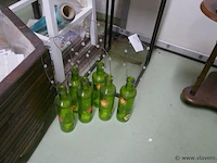 Muggenvangers in glas - afbeelding 1 van  1