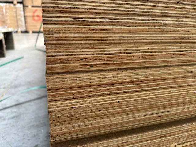 Multiplex elliotisch pine 18mm (11x) - afbeelding 3 van  3
