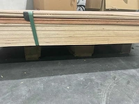 Multiplex meranti (29x) - afbeelding 3 van  3