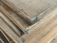 Multiplex - afbeelding 3 van  3