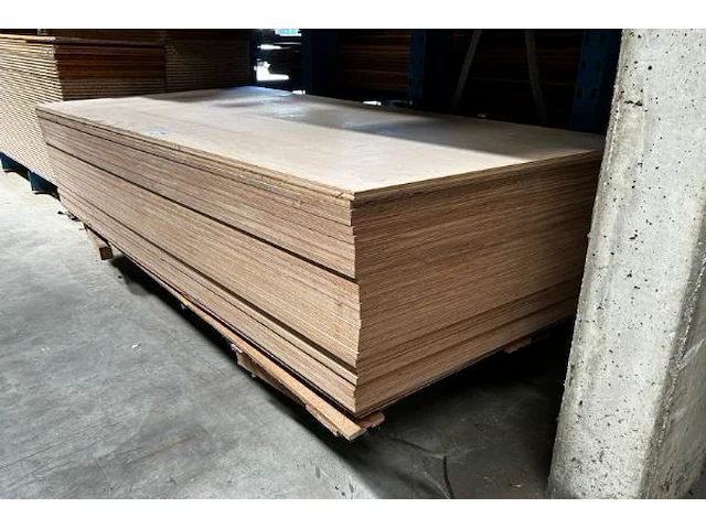 Multiplexplaten - afbeelding 2 van  3