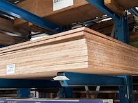 Multiplexplaten - afbeelding 2 van  3