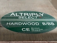 Multiplexplaten - afbeelding 3 van  3