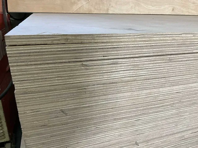 Multiplexplaten - afbeelding 2 van  3