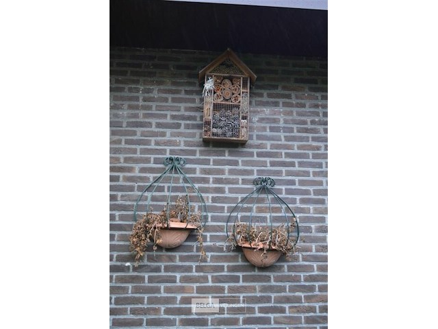 Muurdeco - afbeelding 3 van  5