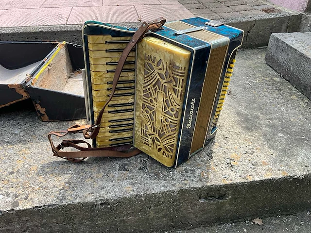 Muziekinstrument - afbeelding 1 van  6