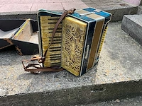 Muziekinstrument - afbeelding 1 van  6