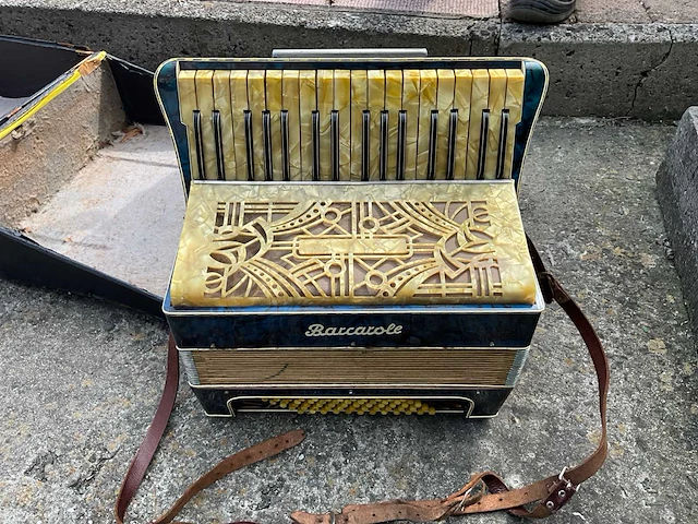 Muziekinstrument - afbeelding 3 van  6