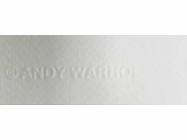 (naar) andy warhol - bald eagle - offset - afbeelding 6 van  7