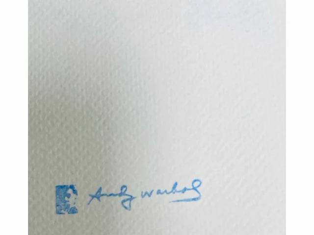(naar) andy warhol - bald eagle - offset - afbeelding 7 van  7