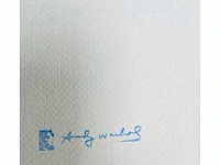 (naar) andy warhol - bald eagle - offset - afbeelding 7 van  7