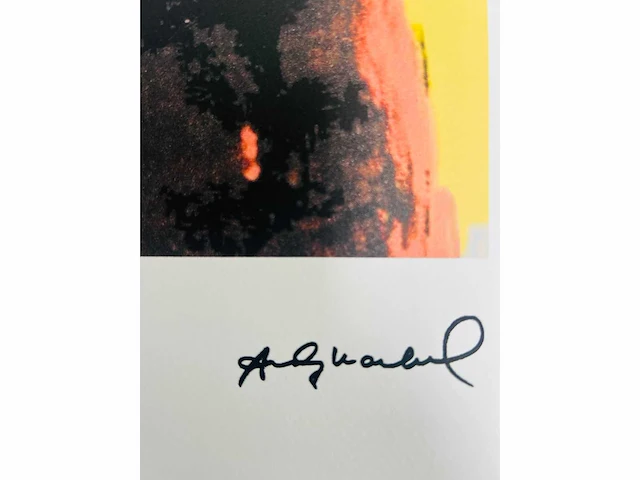 (naar) andy warhol - brooke hayward - offset - afbeelding 6 van  6