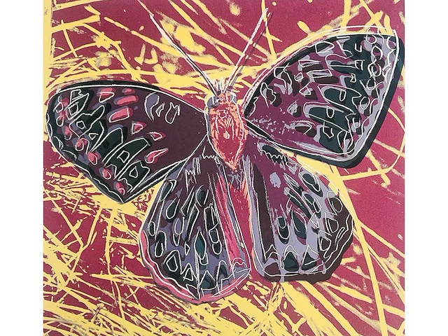 (naar) andy warhol - butterfly - offset - afbeelding 1 van  10