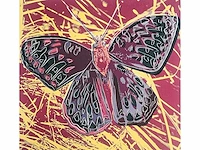 (naar) andy warhol - butterfly - offset - afbeelding 1 van  10