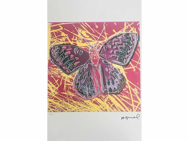 (naar) andy warhol - butterfly - offset - afbeelding 3 van  10
