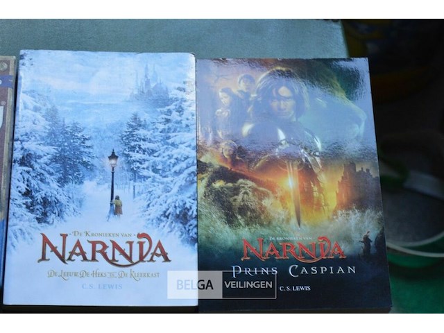 Narnia 2 boeken en memory spel - afbeelding 3 van  3