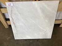 Natuursteen iceberg classic gepolijst vloertegel 61x61 cm 32,19 m² - afbeelding 8 van  15