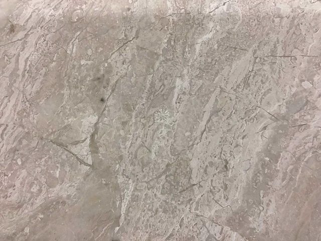 Natuursteen marmer beige gezoet 30,5x61 cm tegel 65,12 m² - afbeelding 12 van  14