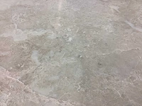 Natuursteen marmer cappucino gezoet 61x61 cm tegel 22 m² - afbeelding 14 van  18