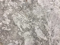 Natuursteen marmer grey honed 30,5x61 cm tegel 57,3 m² - afbeelding 12 van  17