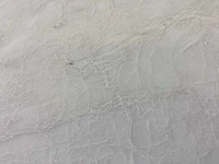 Natuursteen marmer wit honed 45,7x45,7 cm tegel 45 m² - afbeelding 3 van  15