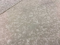 Natuursteen marmer wit mat 30x60x3 cm tegel 71,28 m² - afbeelding 4 van  15