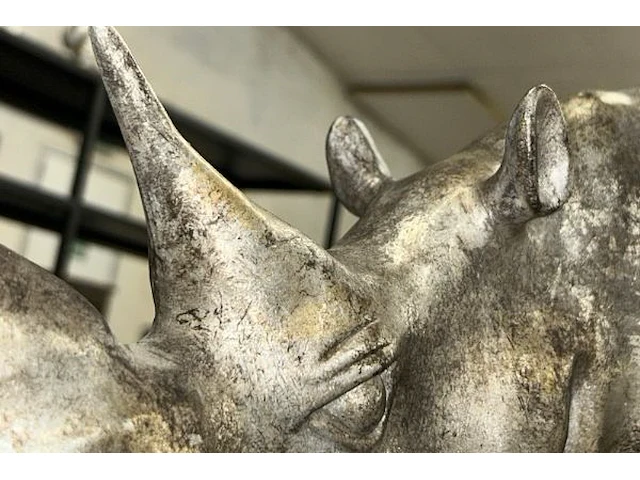 Neushoorn rhnors - afbeelding 4 van  5