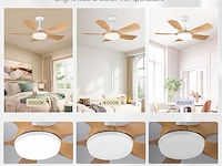 Newday plafondventilator (106 cm) - afbeelding 4 van  6