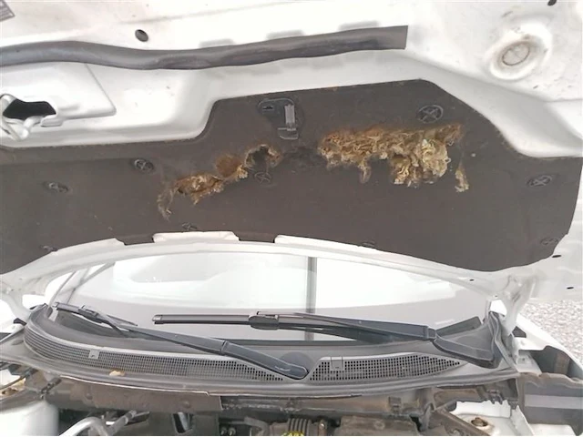 Nissan quashqai,2018 - afbeelding 18 van  36