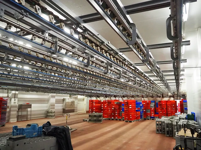 Nn hanging line - afbeelding 12 van  20