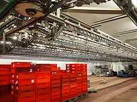 Nn hanging line - afbeelding 14 van  20