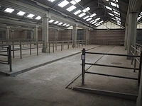 Nn stables