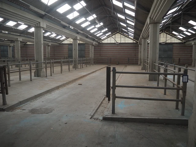 Nn stables - afbeelding 3 van  3