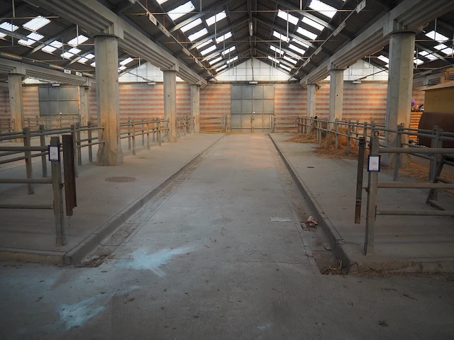 Nn stables - afbeelding 2 van  3