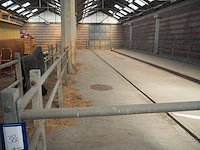 Nn stables - afbeelding 3 van  3