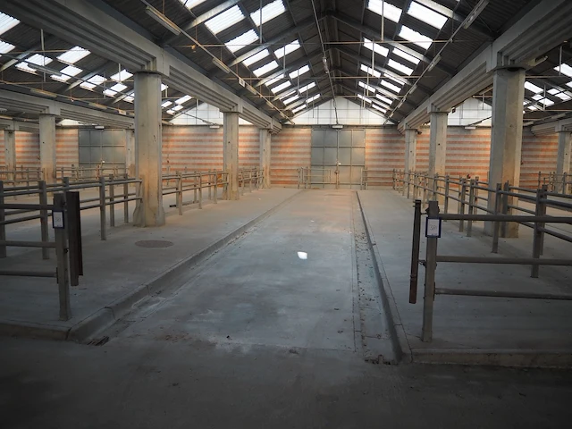Nn stables - afbeelding 1 van  2